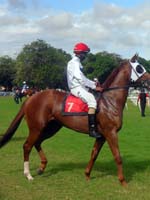 Barbados-HorseRacing1-7-1213