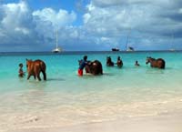 Barbados-HorseRacing18-8-1213