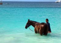 Barbados-HorseRacing19-8-1213