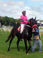 Barbados-HorseRacing2-7-1213