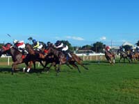 Barbados-HorseRacing4-7-1213