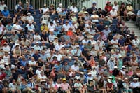 YorkshireSupporters1-12-0826