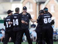 Somerset-CelebrateWicket1-14-0825
