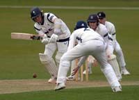 DukeHarry3-11-0426