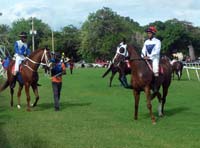 Barbados-HorseRacing3-7-1213